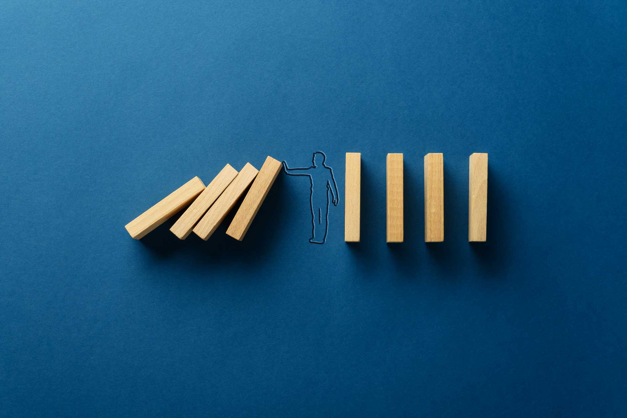 Project management